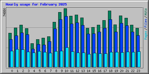 Hourly usage for February 2025