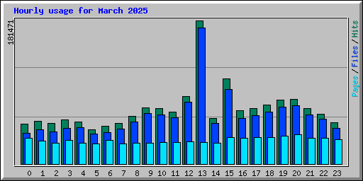 Hourly usage for March 2025