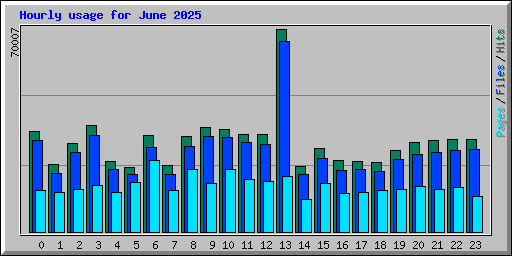 Hourly usage for June 2025