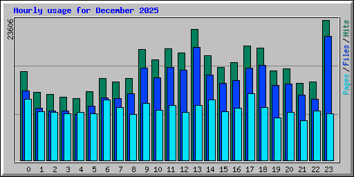 Hourly usage for December 2025