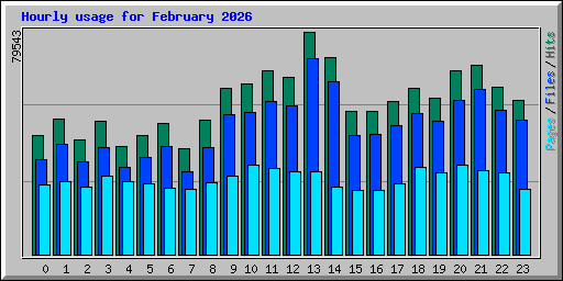 Hourly usage for February 2026