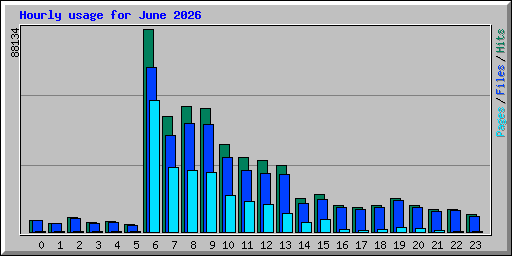 Hourly usage for June 2026