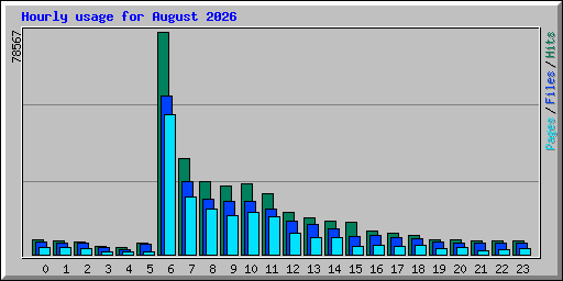 Hourly usage for August 2026