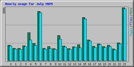 Hourly usage for July 2025
