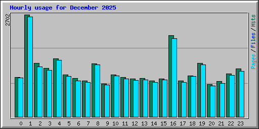 Hourly usage for December 2025