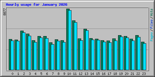 Hourly usage for January 2026