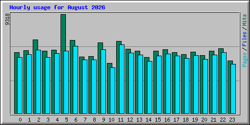 Hourly usage for August 2026
